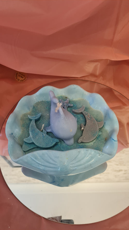 Seashell with Dolphin